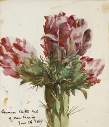 Bourgeon de cactus cramoisi du Nouveau-Mexique